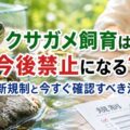 クサガメ飼育は今後禁止になる？最新規制と今すぐ確認すべき注意点