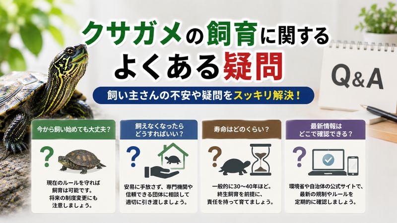 4.クサガメの飼育に関するよくある疑問