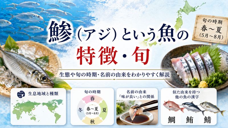 3.「鯵(アジ)」という魚の特徴・旬