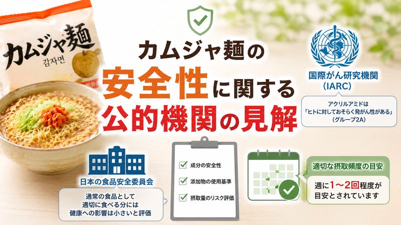 3. カムジャ麺の安全性に関する公的機関の見解