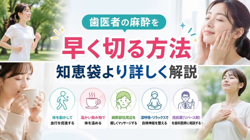 2.歯医者の麻酔を早く切る方法【知恵袋より詳しく解説】