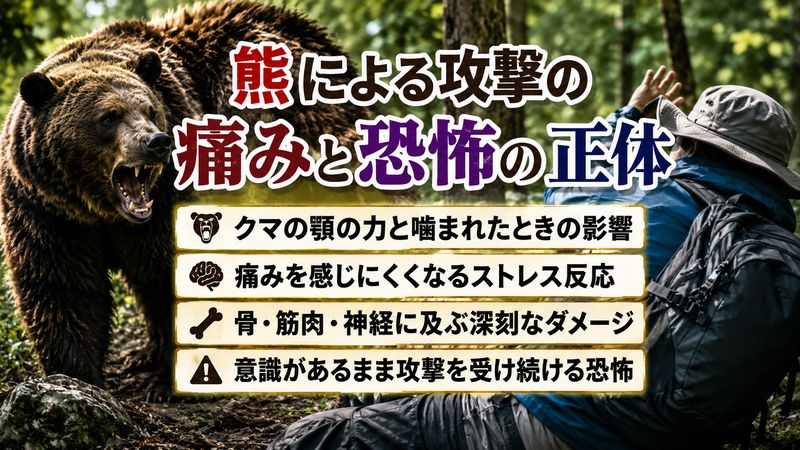 1. 熊に食べられる痛みはどれほどか？医学的な視点で解説