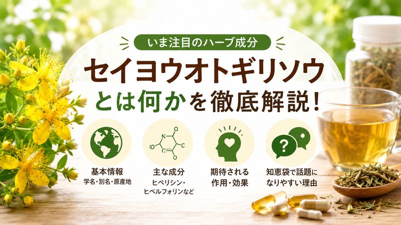 1.セイヨウオトギリソウとは何か