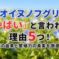 オオイヌノフグリが「やばい」と言われる理由5つ!名前の由来と繁殖力の真実を徹底解説