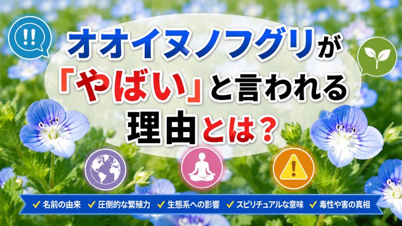 1.オオイヌノフグリが「やばい」と言われる理由とは
