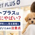 ペットプラスは本当にやばい？口コミ・評判から見る実態と後悔しないための注意点